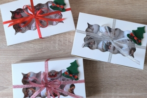 Karácsonyi gömböcskék díszdobozban